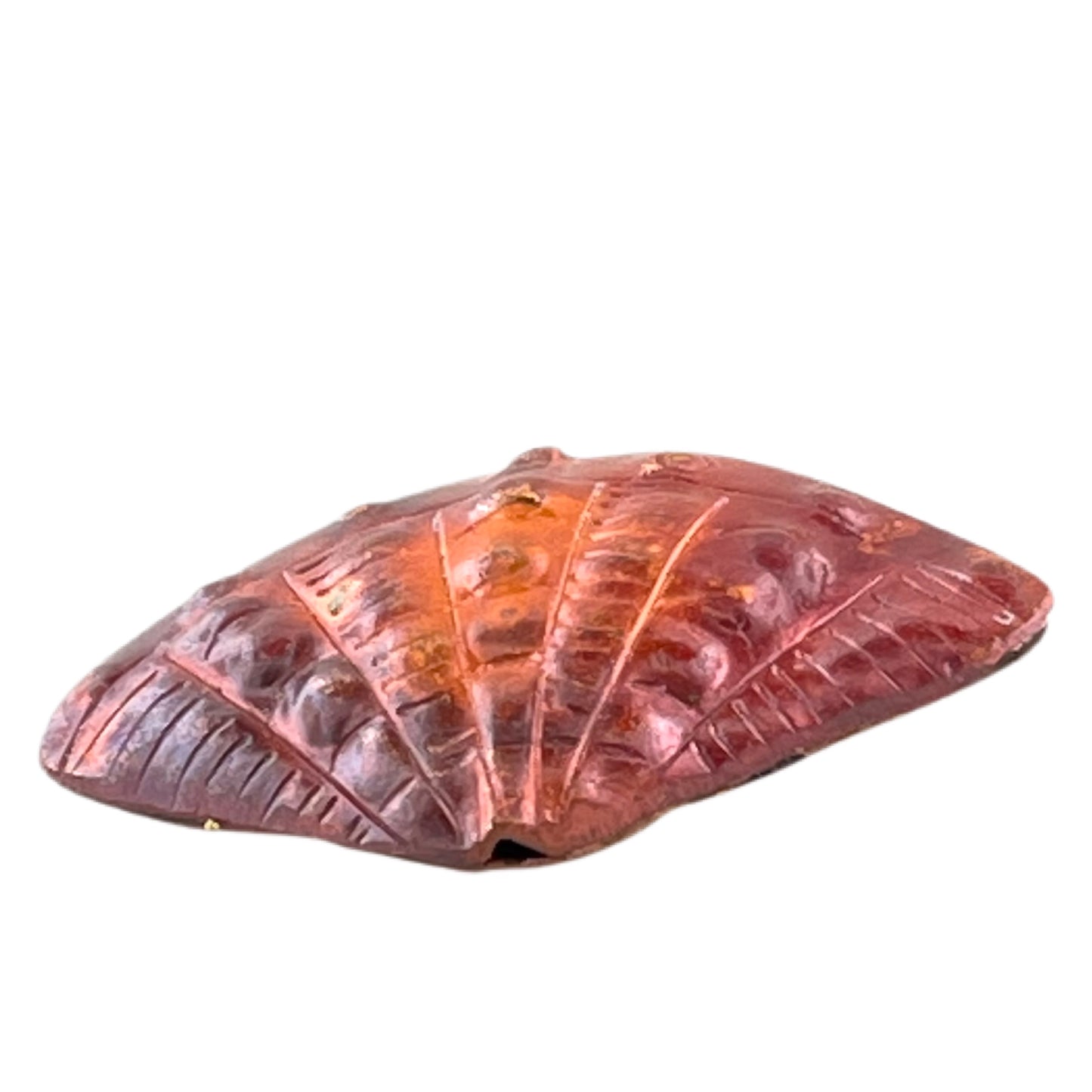 Cardita Shell Copper Bead – Double-Sided Design by Patricia Healey