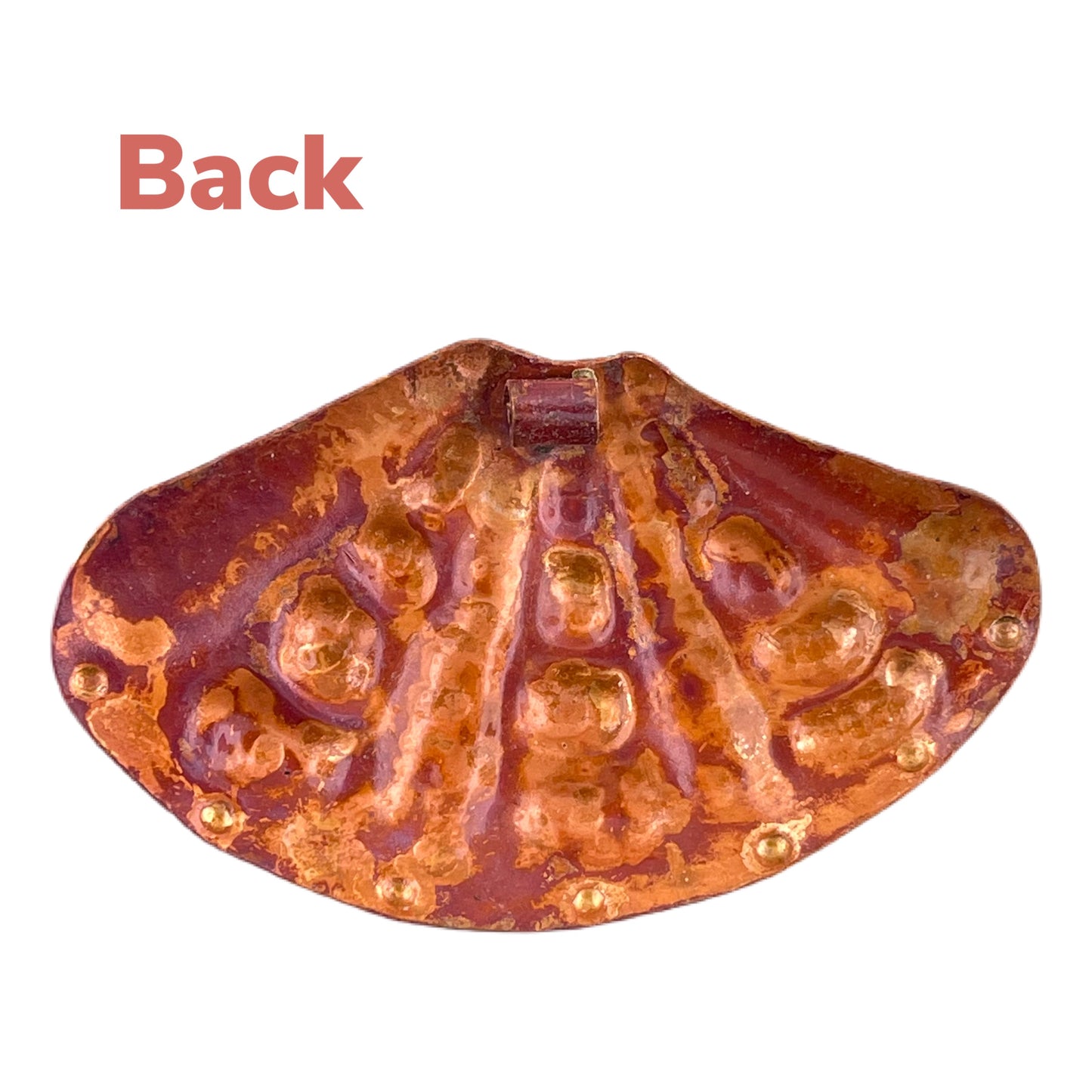 Copper Cardita Shell Pendant for Beach Jewelry Designs