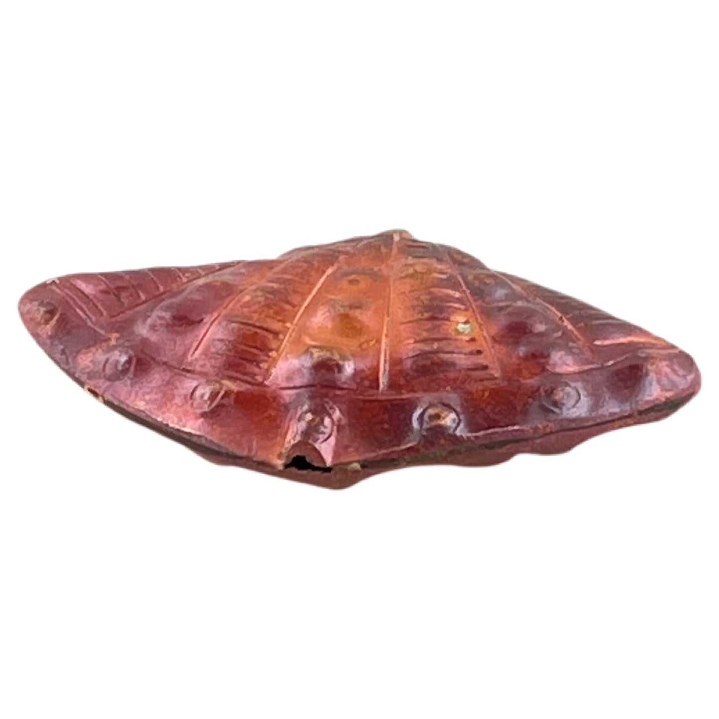 Cardita Shell Copper Bead – Double-Sided Design by Patricia Healey