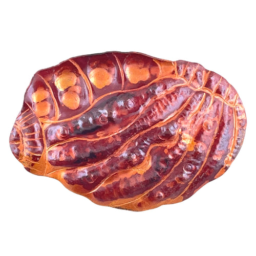 Copper Sea Shell Pendant