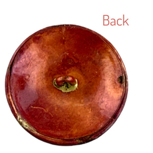 Domed  Shank Button with Saguaro Cactus