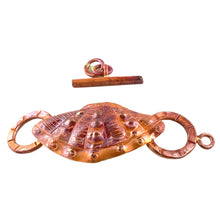 Broad-Ribbed Cardita Shell Toggle