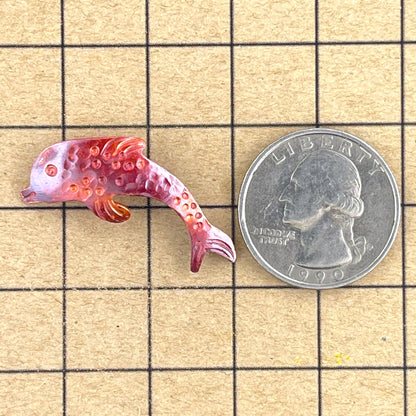Little Copper Dolphin Swimming to the Right