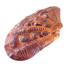 Copper Cardita Shell Pendant for Beach Jewelry Designs