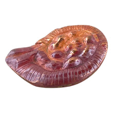Small Nautica Shell Bead