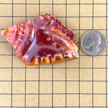 Large Copper Conch Shell Pendant for Ocean Jewelry