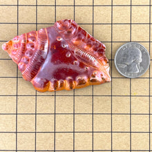 Copper Conch Shell Pendant