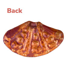 Copper Cardita Shell Pendant for Beach Jewelry Designs