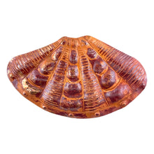 handmade copper broad ribbed cardita shell pendant for beach and ocean jewelry by Patricia Healey