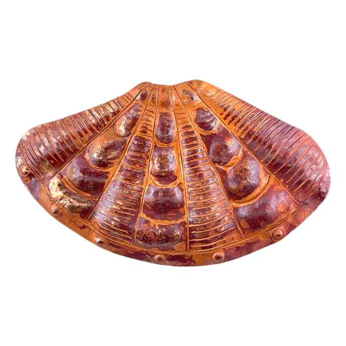handmade copper broad ribbed cardita shell pendant for beach and ocean jewelry by Patricia Healey