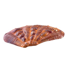Copper Cardita Shell Pendant for Beach Jewelry Designs
