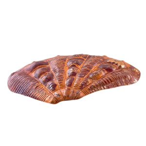 Copper Cardita Shell Pendant for Beach Jewelry Designs