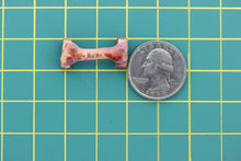 Small Bone Slider Charm for 10mm Flat Leather