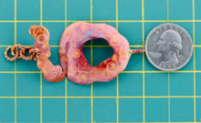 Organic Toggle Closure