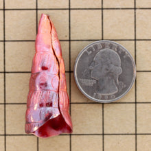 Large Folded Cone End
