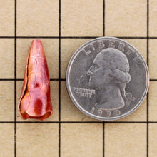 Extra Small Folded Cone End